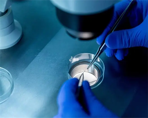 备孕营养指南：叶酸补锌与孕前饮食安排