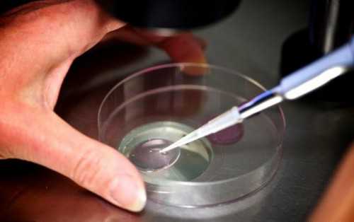 试管婴儿成功率解析与助孕选择指南