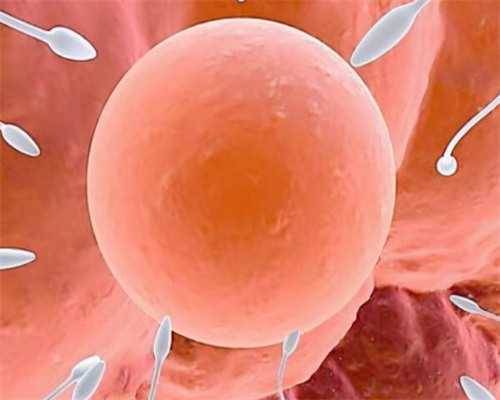 试管婴儿取卵过程与医生服务解析