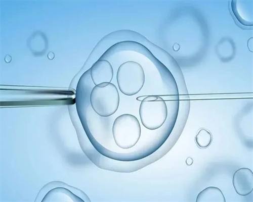 精子库捐献标准与现状解析