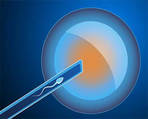 上海人类精子库与辅助生殖服务全解析