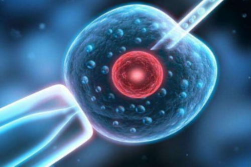 试管婴儿成功率解析及费用指南